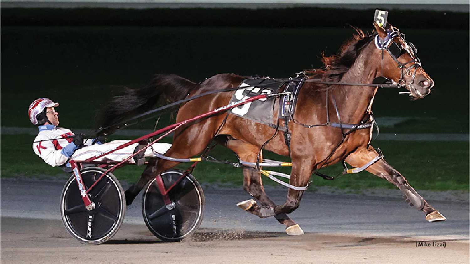 Desperate Man had 89 starts in his career as a pacer, with 33 wins, 15 seconds and 13 third-place winnings. 